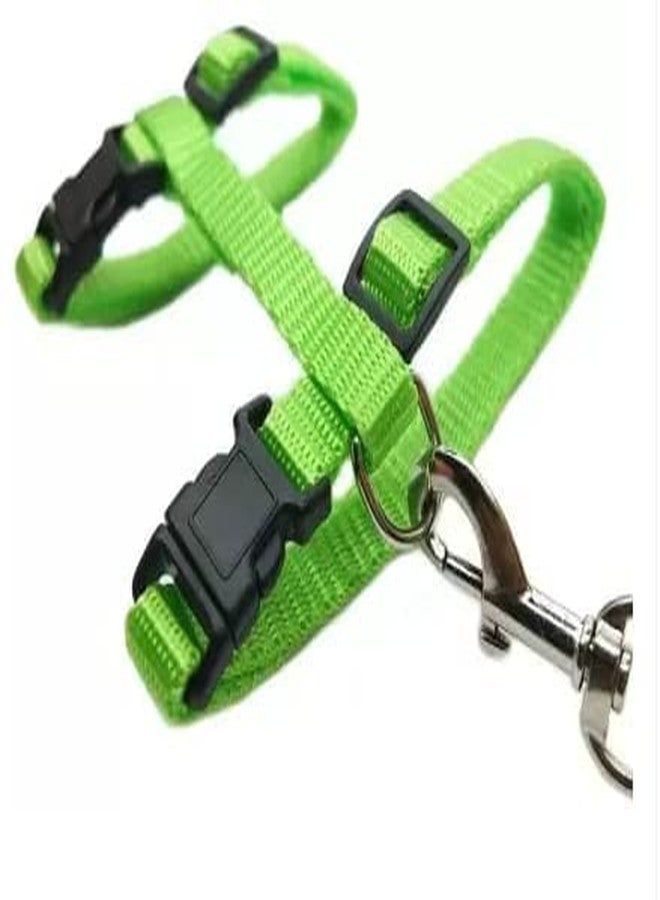 Pups&Pets طوق من النايلون مع حزام قابل للتعديل من Pups&Pets للقطط والأرانب والحيوانات الأليفة الصغيرة - أخضر - Image 4